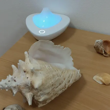 Vandrarhem White Coral Club Košice