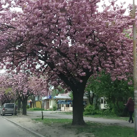 White Coral Club Vandrarhem Košice